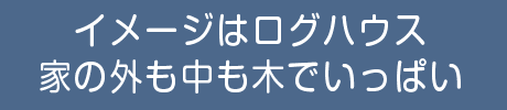 イメージはログハウス家の外も中も木でいっぱい